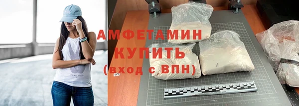 стаф Нея