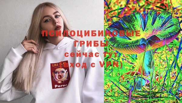 стафф Надым