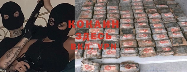 стаф Нея