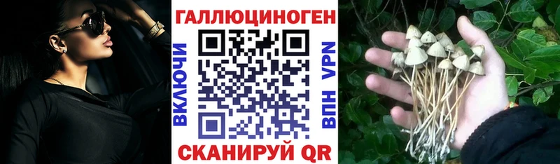ОМГ ОМГ онион  Коряжма  Галлюциногенные грибы мицелий 