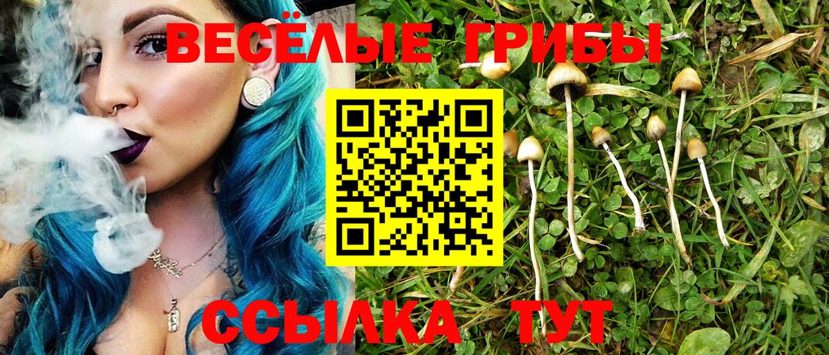 Коряжма  Галлюциногенные грибы Psilocybe  Вход с VPN 