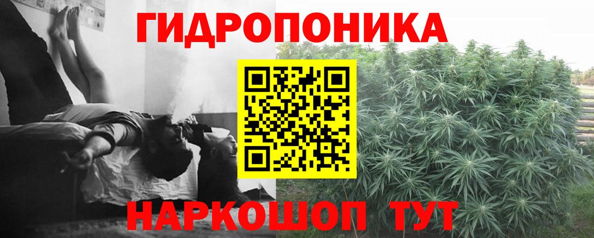 Марихуана MAZAR  Каннабис тримм  Вход с VPN  Канабис THC 21%  Бошки Шишки тримм  Коряжма 